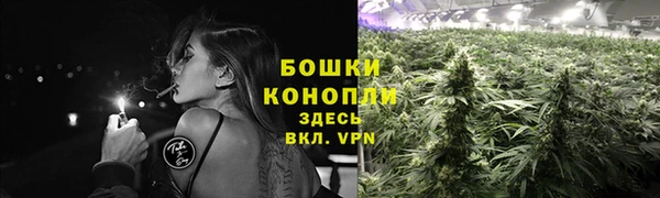 spice Заволжье
