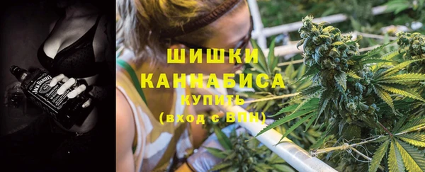 соль ск Пестово
