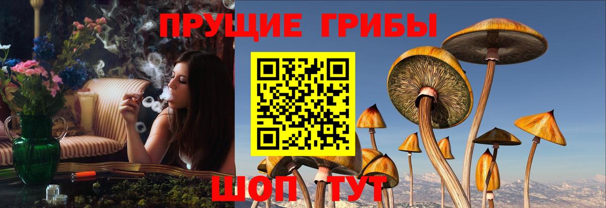 Галлюциногенные грибы MAGIC MUSHROOMS  Галлюциногенные грибы прущие грибы  Вход с VPN  Спасск-Дальний 